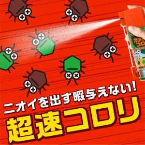 アース製薬 カメムシコロリ 300ml 洗濯物...の詳細画像3