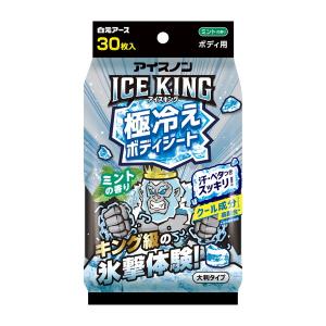 アイスノン ICE KING 極冷え ボディシート ミントの香り 30枚入