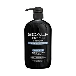 熊野油脂 スカルプケア 薬用シャンプー ノンシリコンタイプ 600ml ノンシリコンシャンプー 医薬部外品 ドラッグストアウェルネス 通販 Yahoo ショッピング