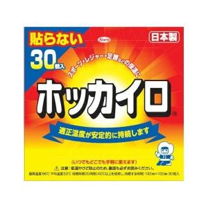 興和 ホッカイロ 貼らない レギュラー 30個の商品画像