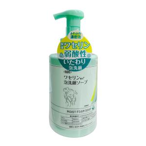 【送料無料・まとめ買い×3個セット】渋谷油脂 SOC ワセリン配合 泡洗顔ソープ 500ml｜himejiryutsuu