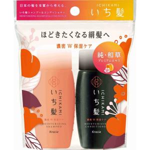 (まとめ買い)いち髪 濃密W保湿ケア シャンプー&コンディショナー ミニセット 80ml ×10点セット (送料無料)