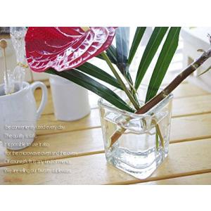 生活応援価格!グラス ガラス Libbey リ...の詳細画像3