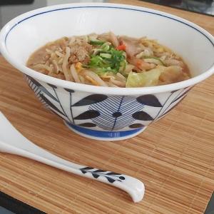 軽くてしっかりラーメンサイズ スタイリッシュ麺鉢 オーランド どんぶり 丼(お取り寄せ商品 欠品時約1ヶ月程度)