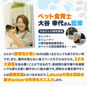 猫 給水器 自動給水器 犬 自動 給水 水飲み...の詳細画像3