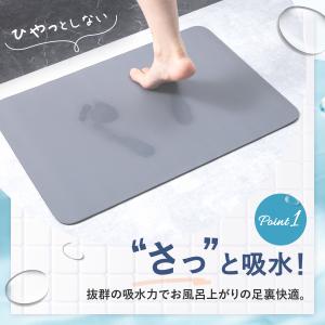 【2枚セット】 珪藻土バスマット ソフト 珪藻...の詳細画像5
