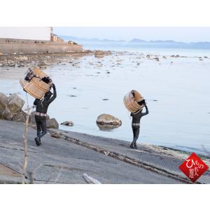 西山千恵子 板わかめ 30g 鳥取県 大山町産...の詳細画像4