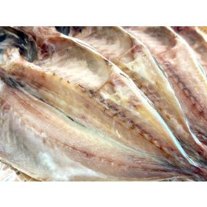 トロあじ(アジ)ひもの 1枚 脂がのってジュー...の詳細画像1
