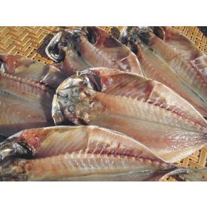 真あじ干物 小 1枚の詳細画像1