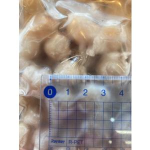 生トンビ イカ(国産真イカの口)とんび・めぼう...の詳細画像4