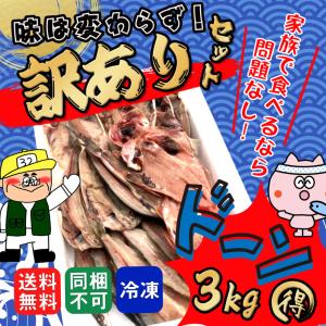 数量限定大 干物 訳ありセット 約3kg  種類品数職人におまかせ