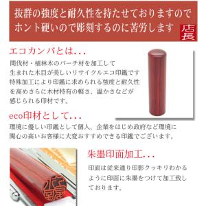 印鑑 実印 はんこ ゴールドエコ印鑑 彩樺 レ...の詳細画像2