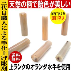 印鑑 銀行印 実印 はんこ 上オランダ水牛印鑑...の詳細画像1
