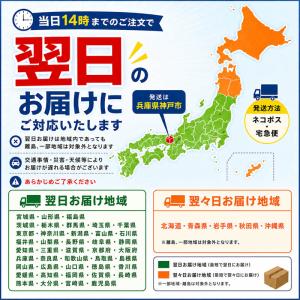 即日発送 印鑑 実印 銀行印 認印 はんこ 黒...の詳細画像1