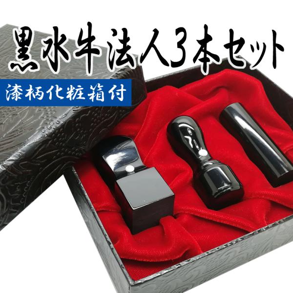 印鑑 法人印 会社印 はんこ 黒水牛 3本セット 会社設立 Bセット 会社 代表印 銀行印 法人印 ...
