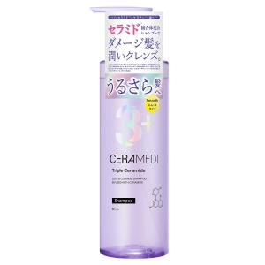 ADJUVANT アジュバン Class S クラスエス Sb シャンプー (スムース