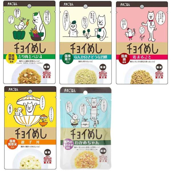 チョイめし80g 人気5種類X10 計50個（CTM限定おまけ付き お徳用セット）