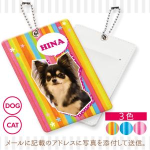 《オーダーメイド》デザインA オリジナルパスケース 犬 猫 ペット ICカードケース 定期入れ パスケース 名入れ