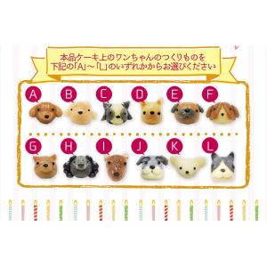 【メーカー直送】中・大型犬用☆ハッピーミート【...の詳細画像5