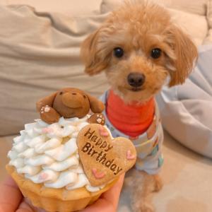 ハッピープリティーウーわんケーキ 犬用ケーキ ...の詳細画像1