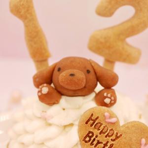 ハッピープリティーウーわんケーキ 犬用ケーキ ...の詳細画像2