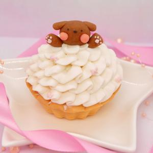ハッピープリティーウーわんケーキ 犬用ケーキ ...の詳細画像3