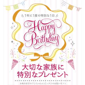 ハッピープリティーウーわんケーキ 犬用ケーキ ...の詳細画像4