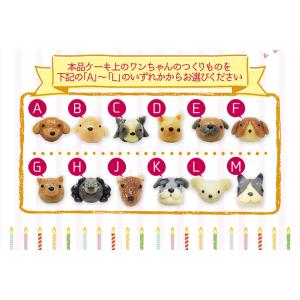 ハッピープリティーウーわんケーキ 犬用ケーキ ...の詳細画像5