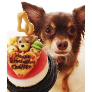 【メーカー直送】塩不使用!レアチーズケーキ☆ハ...の詳細画像1