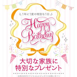 【メーカー直送】塩不使用!レアチーズケーキ☆ハ...の詳細画像2