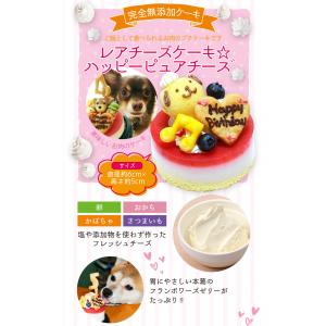 【メーカー直送】塩不使用!レアチーズケーキ☆ハ...の詳細画像3