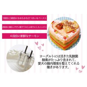 中・大型犬向け☆ハッピーLOVEフード【お魚の...の詳細画像4