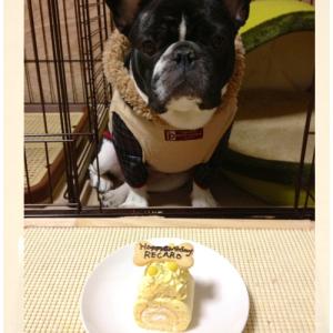 NEW クルクルプチロール【小麦フリー 無添加...の詳細画像1