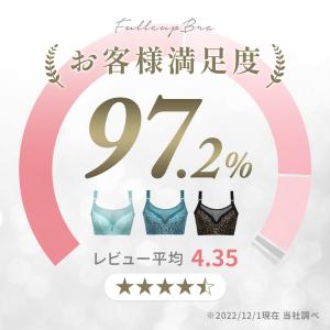 ブラジャー 大きいサイズ フルカップ 大きめ ...の詳細画像2