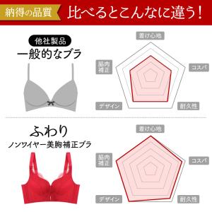 ブラセット ブラジャー ショーツ セット 美胸...の詳細画像3