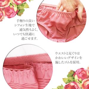 ショーツ レディース 20代 30代 40代 ...の詳細画像3