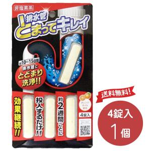 アイメディア 排水管とまってキレイ 排水管 洗浄剤 スティック状 4錠入り パイプの汚れ 排水溝 排水口 送料無料