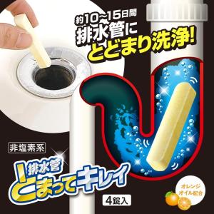 アイメディア 排水管とまってキレイ 排水管 洗...の詳細画像1