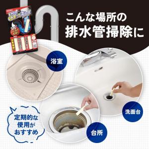 アイメディア 排水管とまってキレイ 排水管 洗...の詳細画像4