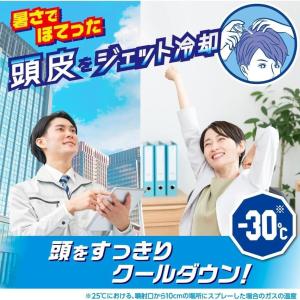 白元アース アイスノン 頭を冷やすスプレーGO...の詳細画像3