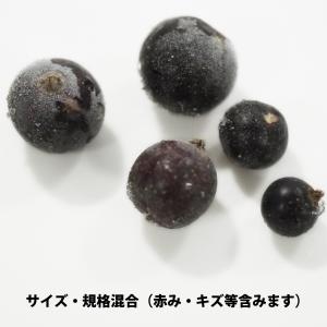(冷凍)国産冷凍カシス果実(青森県産・農薬不使...の詳細画像2
