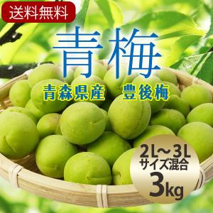 （冷蔵）青森の青梅[豊後梅-ぶんごうめ-]2L〜3Lサイズ混合約3kg 梅　うめ　ウメ梅通販