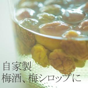 (冷蔵)青森の青梅[豊後梅ぶんごうめ]2L〜3...の詳細画像3
