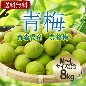 冷蔵）青森の青梅[豊後梅ぶんごうめ]2L〜3Lサイズ混合約8kg 梅 うめ 青