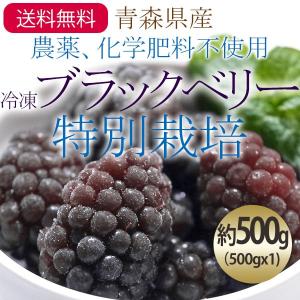 （冷凍）青森県産農薬・化学肥料不使用国産冷凍ブラックベリー果実（特別栽培）サイズ混合約500g（500gx1)国産｜hinetshop
