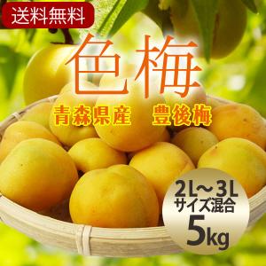 （冷蔵）青森の色梅（完熟梅）[豊後梅-ぶんごうめ-]2L〜3Lサイズ混合約5kg梅通販　ウメ　うめ　梅