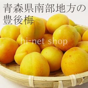 (冷蔵)青森の色梅(完熟梅)[豊後梅ぶんごうめ...の詳細画像1
