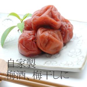(冷蔵)青森の色梅(完熟梅)[豊後梅ぶんごうめ...の詳細画像2