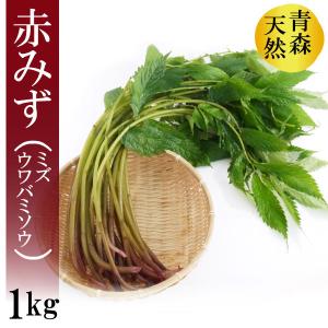 完全予約販売】秋田の天然山菜「ミズ（むきみず・ウワバミソウ）」500g
