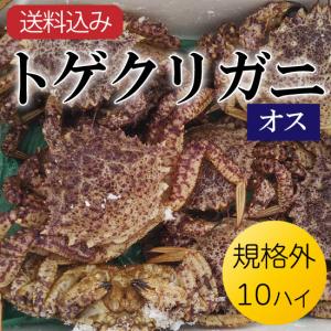 （冷蔵）活トゲクリガニ[オス]規格外・サイズ混合10ハイ（約3.5kg前後）[青森野辺地産]栗蟹　クリガニ　